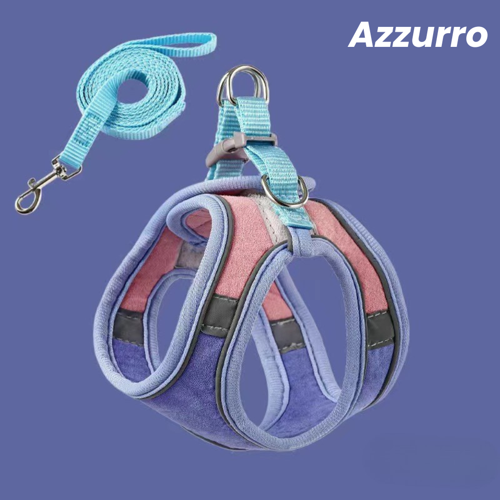 Pettorina Anti-Fuga + Guinzaglio