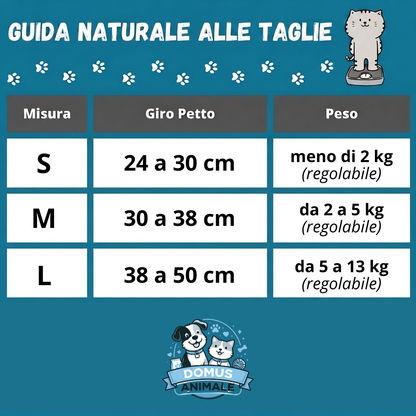 Pettorina Anti-Fuga + Guinzaglio