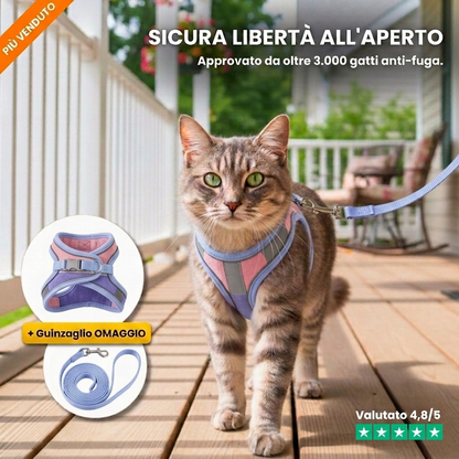 Pettorina Anti-Fuga + Guinzaglio