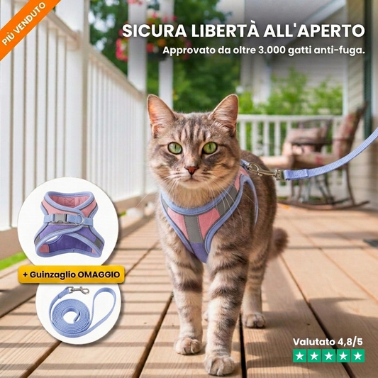 Pettorina Anti-Fuga + Guinzaglio