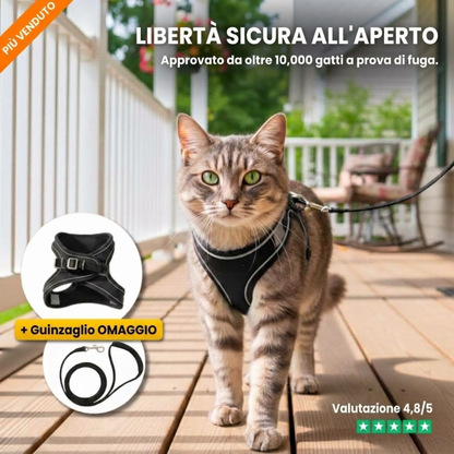 Pettorina Anti-Fuga + Guinzaglio