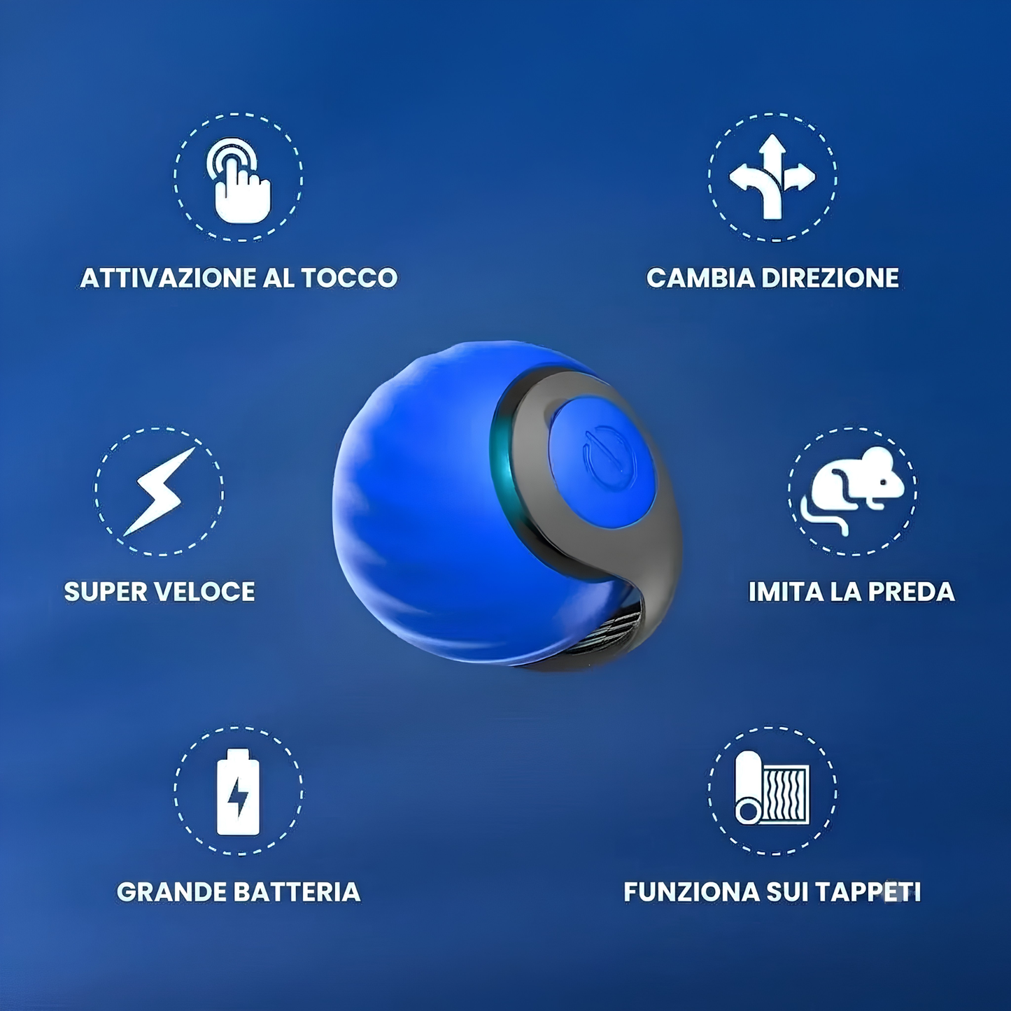 Coda Pazza™ — Giocattolo automatico