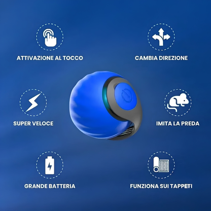 Coda Pazza™ — Giocattolo automatico