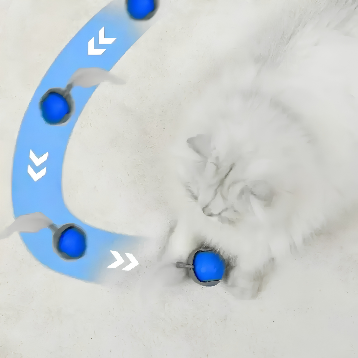 Coda Pazza™ — Giocattolo automatico