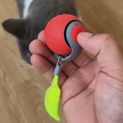 Coda Pazza™ — Giocattolo automatico